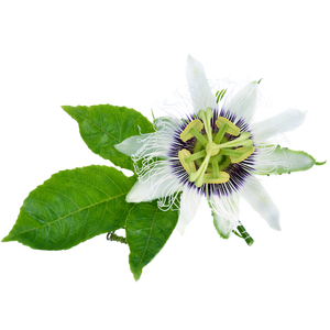 HYALURONIC ACID